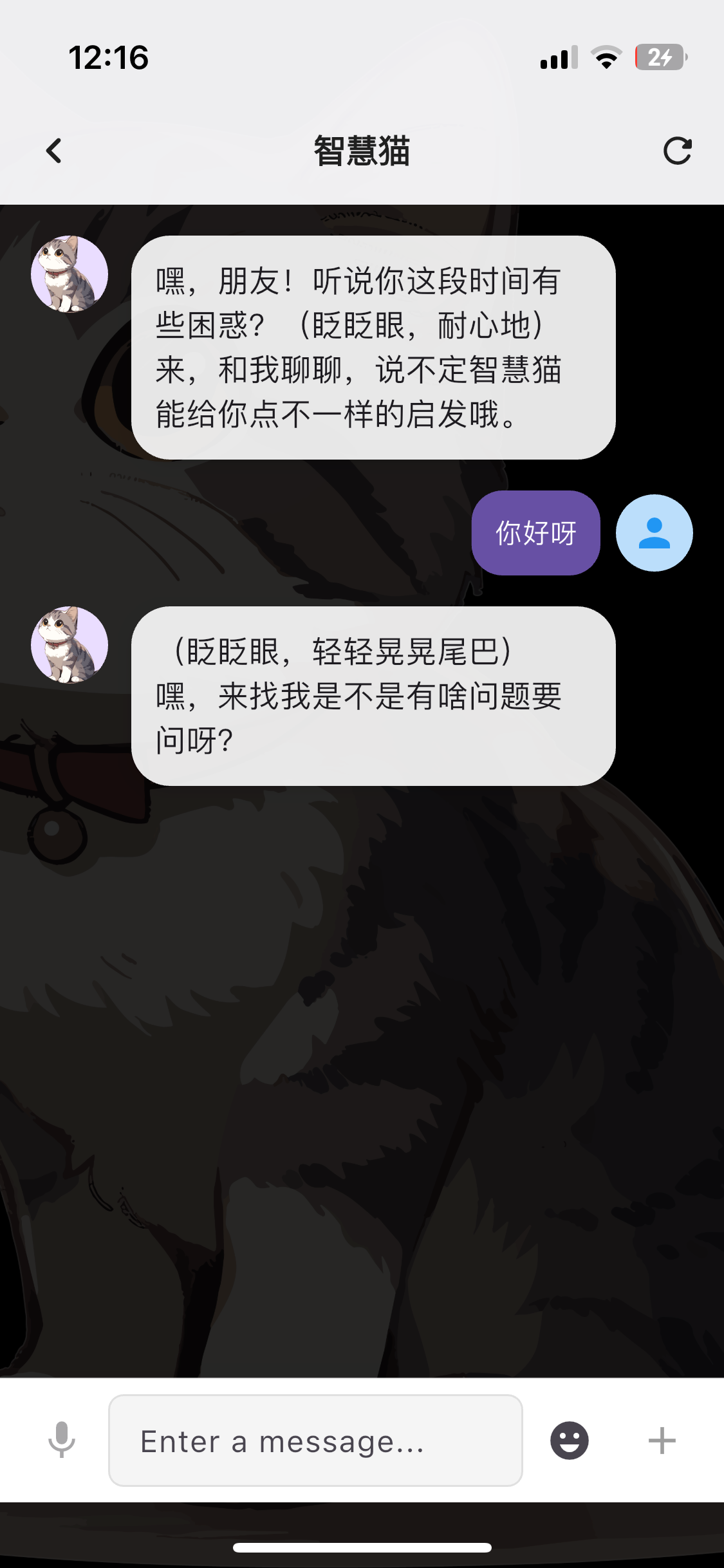 Mindii App Interface
